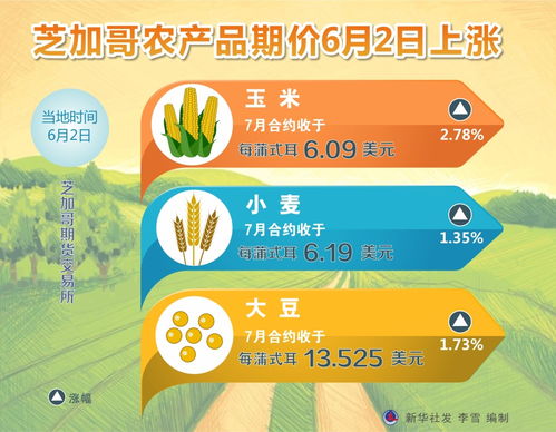 图表 芝加哥农产品期价6月2日上涨