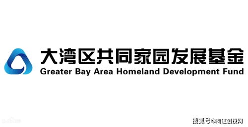 打造跨境电商精品供应链平台,易网创新科技获得大湾区基金投资