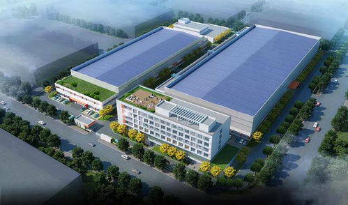 虎虎生威抓开局 临港新片区14个项目集中开工