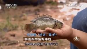 20161129第6期 发现最有投资价值的上市公司-庄安苏 - 今日头条(www.toutiao.com)
