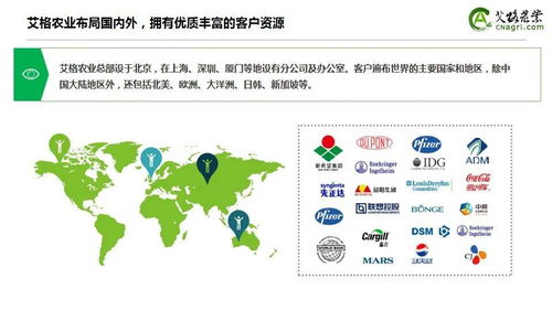 逆势上涨 2020年中国农业食品投资年报