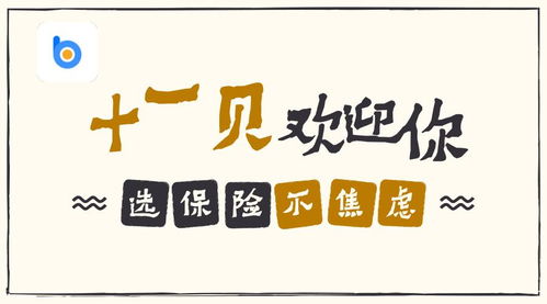 年轻 专业的十一贝欢迎你的到来