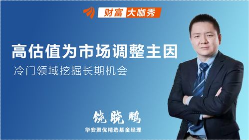 高估值为市场调整主因,冷门领域挖掘长期机会
