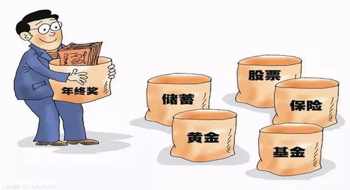 个股期权 风险管理和资产配置中不可或缺的重要工具